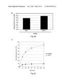 NEUTRALIZING RNA APTAMERS AGAINST PDGFBETA AND USES THEREOF IN THE THERAPY     AND DIAGNOSIS OF HYPERPROLIFERATIVE DISEASES diagram and image