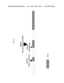 Compositions and Methods Conferring Resistance of Maize to Corn Rootworm I diagram and image