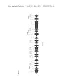 GENE CLUSTER FOR BIOSYNTHESIS OF CORNEXISTIN AND HYDROXYCORNEXISTIN diagram and image