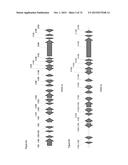 GENE CLUSTER FOR BIOSYNTHESIS OF CORNEXISTIN AND HYDROXYCORNEXISTIN diagram and image