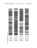 GENE CLUSTER FOR BIOSYNTHESIS OF CORNEXISTIN AND HYDROXYCORNEXISTIN diagram and image