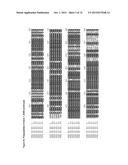 GENE CLUSTER FOR BIOSYNTHESIS OF CORNEXISTIN AND HYDROXYCORNEXISTIN diagram and image