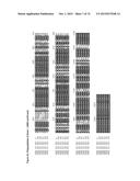 GENE CLUSTER FOR BIOSYNTHESIS OF CORNEXISTIN AND HYDROXYCORNEXISTIN diagram and image