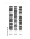 GENE CLUSTER FOR BIOSYNTHESIS OF CORNEXISTIN AND HYDROXYCORNEXISTIN diagram and image