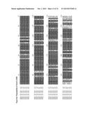 GENE CLUSTER FOR BIOSYNTHESIS OF CORNEXISTIN AND HYDROXYCORNEXISTIN diagram and image