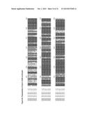 GENE CLUSTER FOR BIOSYNTHESIS OF CORNEXISTIN AND HYDROXYCORNEXISTIN diagram and image