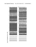 GENE CLUSTER FOR BIOSYNTHESIS OF CORNEXISTIN AND HYDROXYCORNEXISTIN diagram and image