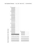 GENE CLUSTER FOR BIOSYNTHESIS OF CORNEXISTIN AND HYDROXYCORNEXISTIN diagram and image