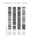 GENE CLUSTER FOR BIOSYNTHESIS OF CORNEXISTIN AND HYDROXYCORNEXISTIN diagram and image