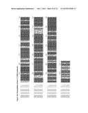 GENE CLUSTER FOR BIOSYNTHESIS OF CORNEXISTIN AND HYDROXYCORNEXISTIN diagram and image