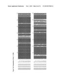 GENE CLUSTER FOR BIOSYNTHESIS OF CORNEXISTIN AND HYDROXYCORNEXISTIN diagram and image