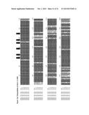 GENE CLUSTER FOR BIOSYNTHESIS OF CORNEXISTIN AND HYDROXYCORNEXISTIN diagram and image