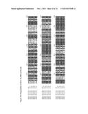 GENE CLUSTER FOR BIOSYNTHESIS OF CORNEXISTIN AND HYDROXYCORNEXISTIN diagram and image