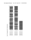 GENE CLUSTER FOR BIOSYNTHESIS OF CORNEXISTIN AND HYDROXYCORNEXISTIN diagram and image