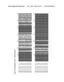 GENE CLUSTER FOR BIOSYNTHESIS OF CORNEXISTIN AND HYDROXYCORNEXISTIN diagram and image