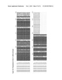 GENE CLUSTER FOR BIOSYNTHESIS OF CORNEXISTIN AND HYDROXYCORNEXISTIN diagram and image