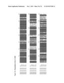 GENE CLUSTER FOR BIOSYNTHESIS OF CORNEXISTIN AND HYDROXYCORNEXISTIN diagram and image