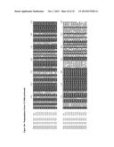 GENE CLUSTER FOR BIOSYNTHESIS OF CORNEXISTIN AND HYDROXYCORNEXISTIN diagram and image