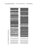 GENE CLUSTER FOR BIOSYNTHESIS OF CORNEXISTIN AND HYDROXYCORNEXISTIN diagram and image