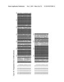 GENE CLUSTER FOR BIOSYNTHESIS OF CORNEXISTIN AND HYDROXYCORNEXISTIN diagram and image