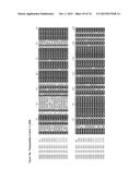 GENE CLUSTER FOR BIOSYNTHESIS OF CORNEXISTIN AND HYDROXYCORNEXISTIN diagram and image