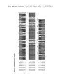 GENE CLUSTER FOR BIOSYNTHESIS OF CORNEXISTIN AND HYDROXYCORNEXISTIN diagram and image