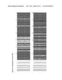 GENE CLUSTER FOR BIOSYNTHESIS OF CORNEXISTIN AND HYDROXYCORNEXISTIN diagram and image