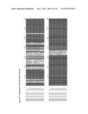 GENE CLUSTER FOR BIOSYNTHESIS OF CORNEXISTIN AND HYDROXYCORNEXISTIN diagram and image