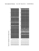 GENE CLUSTER FOR BIOSYNTHESIS OF CORNEXISTIN AND HYDROXYCORNEXISTIN diagram and image