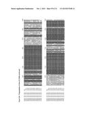 GENE CLUSTER FOR BIOSYNTHESIS OF CORNEXISTIN AND HYDROXYCORNEXISTIN diagram and image