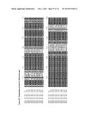 GENE CLUSTER FOR BIOSYNTHESIS OF CORNEXISTIN AND HYDROXYCORNEXISTIN diagram and image