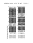 GENE CLUSTER FOR BIOSYNTHESIS OF CORNEXISTIN AND HYDROXYCORNEXISTIN diagram and image