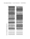 GENE CLUSTER FOR BIOSYNTHESIS OF CORNEXISTIN AND HYDROXYCORNEXISTIN diagram and image