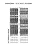 GENE CLUSTER FOR BIOSYNTHESIS OF CORNEXISTIN AND HYDROXYCORNEXISTIN diagram and image