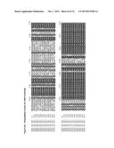 GENE CLUSTER FOR BIOSYNTHESIS OF CORNEXISTIN AND HYDROXYCORNEXISTIN diagram and image