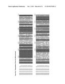 GENE CLUSTER FOR BIOSYNTHESIS OF CORNEXISTIN AND HYDROXYCORNEXISTIN diagram and image