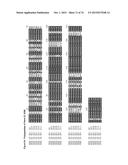 GENE CLUSTER FOR BIOSYNTHESIS OF CORNEXISTIN AND HYDROXYCORNEXISTIN diagram and image