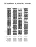 GENE CLUSTER FOR BIOSYNTHESIS OF CORNEXISTIN AND HYDROXYCORNEXISTIN diagram and image