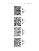 RNA-BASED, AMPLIFICATION-FREE, ORGANISM IDENTIFICATION USING NANO-ENABLED     ELECTRONIC DETECTION diagram and image