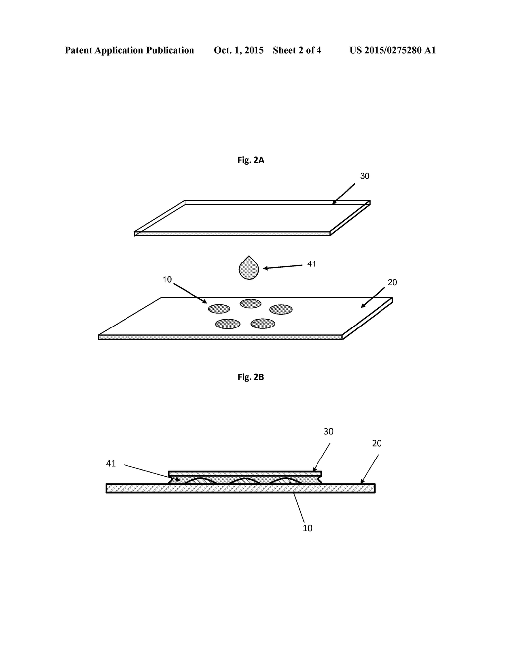 Devices, Compositions and Methods Pertaining To Microscopic Analysis Of     Microorganisms and Other Analytes of Interest - diagram, schematic, and image 03