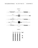 INSTANTANEOUS DETECTION OF BIOMARKS AND USES THEREOF diagram and image