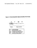 ASSAY FOR THE PARALLEL DETECTION OF BIOLOGICAL MATERIAL BASED ON PCR diagram and image