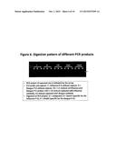 ASSAY FOR THE PARALLEL DETECTION OF BIOLOGICAL MATERIAL BASED ON PCR diagram and image