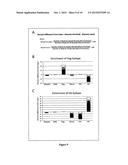 ASSAY FOR THE PARALLEL DETECTION OF BIOLOGICAL MATERIAL BASED ON PCR diagram and image