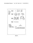 ASSAY FOR THE PARALLEL DETECTION OF BIOLOGICAL MATERIAL BASED ON PCR diagram and image