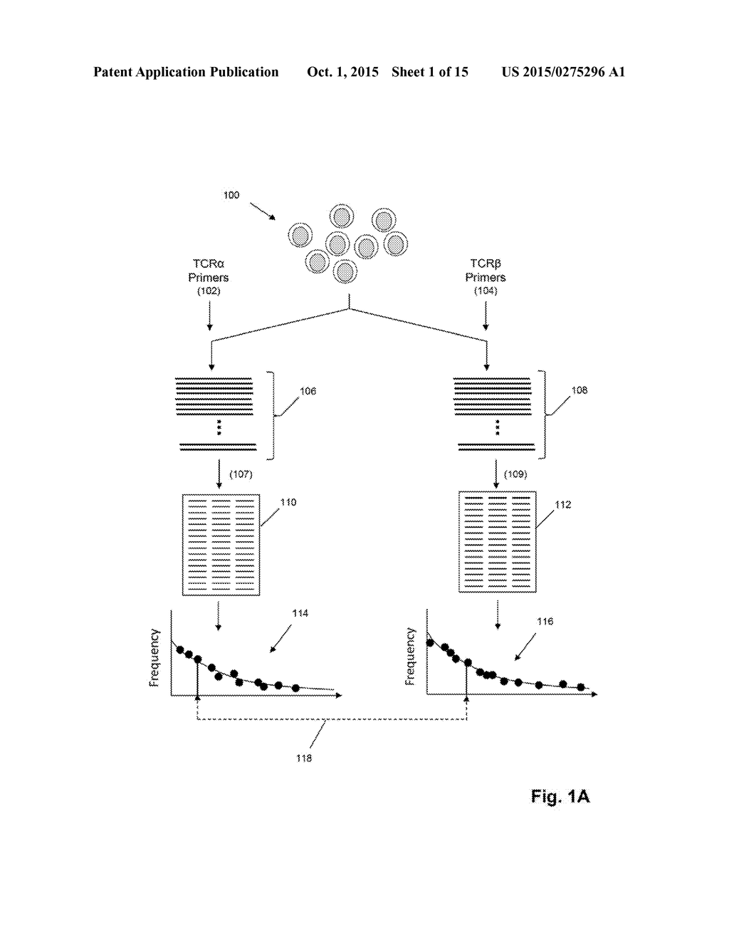 DETERMINING ANTIGEN-SPECIFIC T-CELLS - diagram, schematic, and image 02