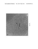 VARIABLE DIAMETER NANOWIRES diagram and image