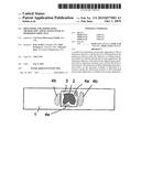 PROCEDURE FOR TERMINATING MICROSCOPIC APPLICATIONS WITH AN IMMERSION     OBJECTIVE diagram and image