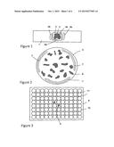 PROCEDURE FOR TERMINATING MICROSCOPIC APPLICATIONS WITH AN IMMERSION     OBJECTIVE diagram and image