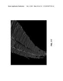 3D Laser Tracer And Methods Of Tracing In 3D diagram and image